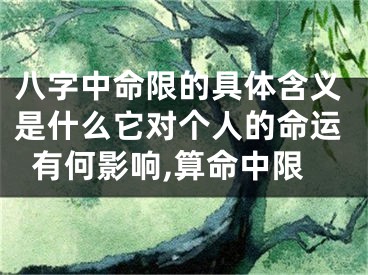 八字中命限的具体含义是什么它对个人的命运有何影响,算命中限