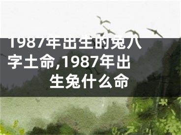 1987年出生的兔八字土命,1987年出生兔什么命