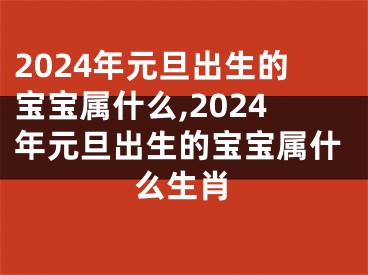 2024年元旦出生的宝宝属什么,2024年元旦出生的宝宝属什么生肖