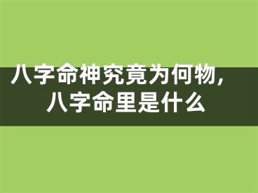 八字命神究竟为何物,八字命里是什么