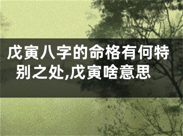 戊寅八字的命格有何特别之处,戊寅啥意思