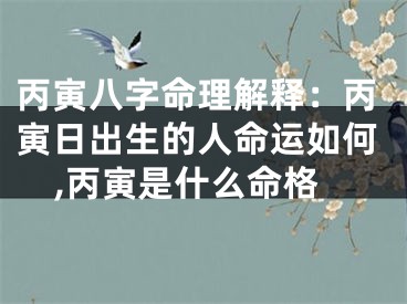 丙寅八字命理解释：丙寅日出生的人命运如何,丙寅是什么命格
