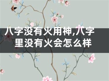 八字没有火用神,八字里没有火会怎么样