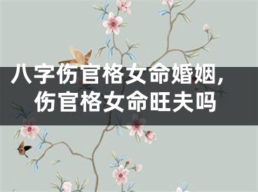 八字伤官格女命婚姻,伤官格女命旺夫吗