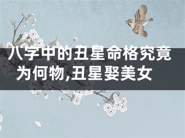 八字中的丑星命格究竟为何物,丑星娶美女