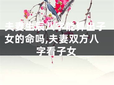 夫妻生辰八字能算出子女的命吗,夫妻双方八字看子女