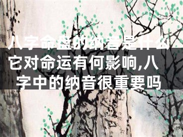 八字命盘的纳音是什么它对命运有何影响,八字中的纳音很重要吗
