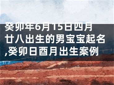 癸卯年6月15日四月廿八出生的男宝宝起名,癸卯日酉月出生案例
