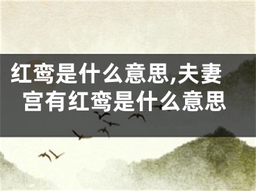 红鸾是什么意思,夫妻宫有红鸾是什么意思