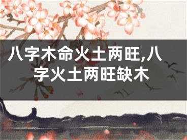 八字木命火土两旺,八字火土两旺缺木