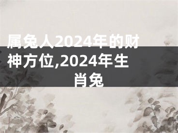 属兔人2024年的财神方位,2024年生肖兔