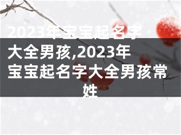 2023年宝宝起名字大全男孩,2023年宝宝起名字大全男孩常姓