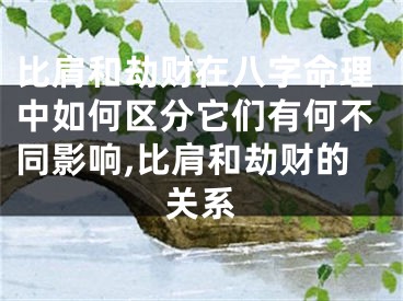 比肩和劫财在八字命理中如何区分它们有何不同影响,比肩和劫财的关系
