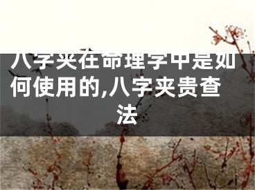 八字夹在命理学中是如何使用的,八字夹贵查法