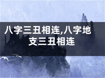 八字三丑相连,八字地支三丑相连