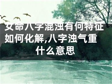 女命八字混浊有何特征如何化解,八字浊气重什么意思