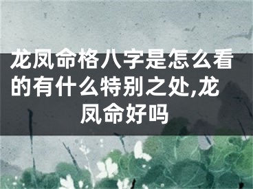 龙凤命格八字是怎么看的有什么特别之处,龙凤命好吗