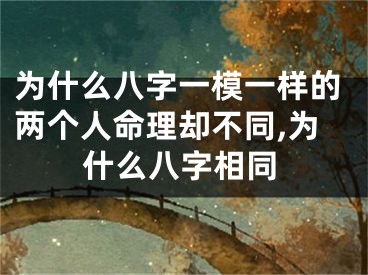 为什么八字一模一样的两个人命理却不同,为什么八字相同