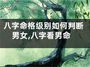 八字命格级别如何判断男女,八字看男命