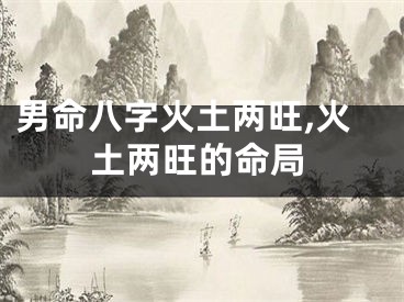 男命八字火土两旺,火土两旺的命局
