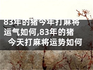 83年的猪今年打麻将运气如何,83年的猪今天打麻将运势如何