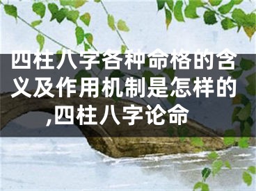 四柱八字各种命格的含义及作用机制是怎样的,四柱八字论命