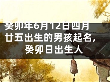 癸卯年6月12日四月廿五出生的男孩起名,癸卯日出生人