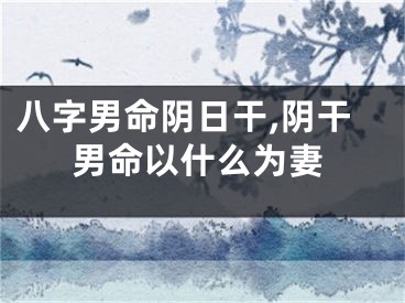 八字男命阴日干,阴干男命以什么为妻