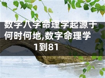 数字八字命理学起源于何时何地,数字命理学1到81
