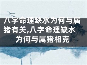 八字命理缺水为何与属猪有关,八字命理缺水为何与属猪相克