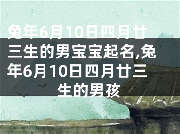 兔年6月10日四月廿三生的男宝宝起名,兔年6月10日四月廿三生的男孩