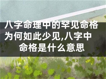 八字命理中的罕见命格为何如此少见,八字中命格是什么意思