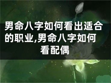 男命八字如何看出适合的职业,男命八字如何看配偶