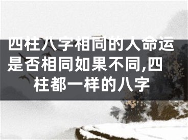 四柱八字相同的人命运是否相同如果不同,四柱都一样的八字