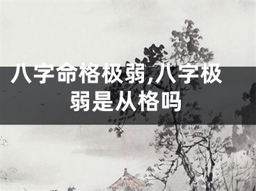 八字命格极弱,八字极弱是从格吗