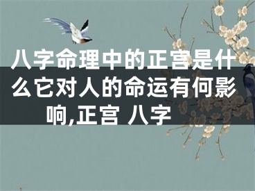 八字命理中的正宫是什么它对人的命运有何影响,正宫 八字