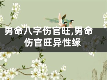 男命八字伤官旺,男命伤官旺异性缘