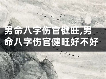 男命八字伤官健旺,男命八字伤官健旺好不好