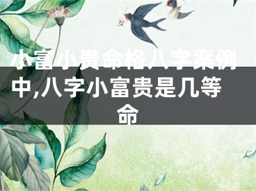 小富小贵命格八字案例中,八字小富贵是几等命