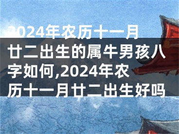 2024年农历十一月廿二出生的属牛男孩八字如何,2024年农历十一月廿二出生好吗