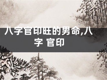 八字官印旺的男命,八字 官印