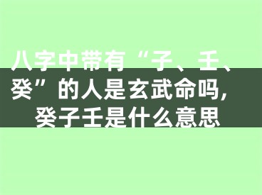 八字中带有“子、壬、癸”的人是玄武命吗,癸子壬是什么意思