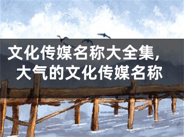 文化传媒名称大全集,大气的文化传媒名称