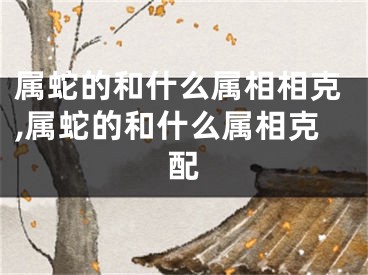 属蛇的和什么属相相克,属蛇的和什么属相克配