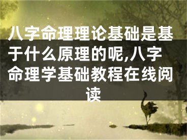 八字命理理论基础是基于什么原理的呢,八字命理学基础教程在线阅读