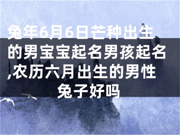 兔年6月6日芒种出生的男宝宝起名男孩起名,农历六月出生的男性兔子好吗