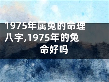 1975年属兔的命理八字,1975年的兔命好吗