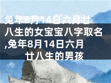 兔年8月14日六月廿八生的女宝宝八字取名,兔年8月14日六月廿八生的男孩