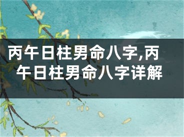 丙午日柱男命八字,丙午日柱男命八字详解