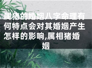 属猪的婚姻八字命理有何特点会对其婚姻产生怎样的影响,属相猪婚姻